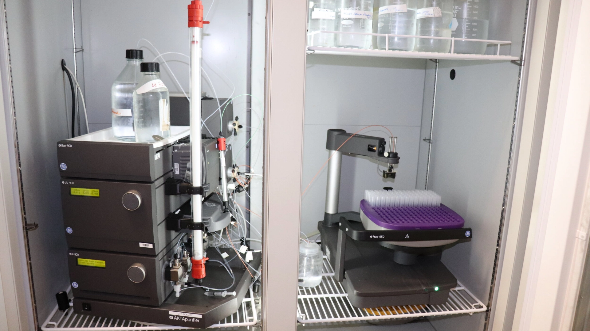 Fast Protein Liquid Chromatography